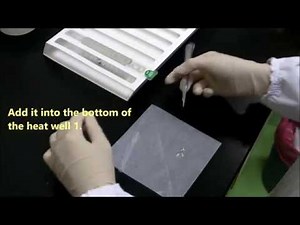 MagCore® Genomic DNA FFPE One-Step Kit