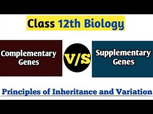 Difference Between Complementary Gene & Supplementary Gene | Principles of Inheritance And Variation