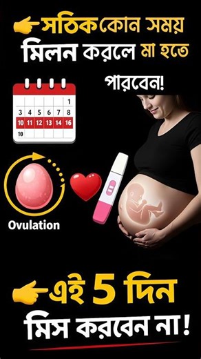 গর্ভধারণের সঠিক সময়। | Best Time for Pregnancy #talktohealth #গর্ভধারণ #ovulation