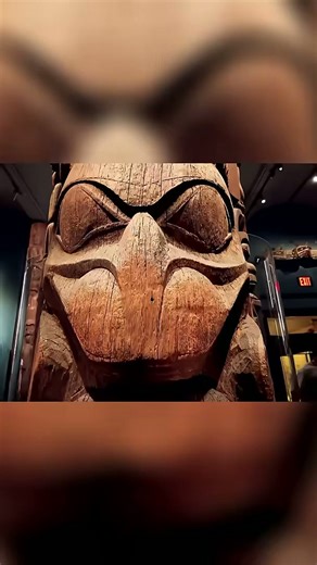 Exploring a unique museum: My exciting encounter with the blue whale & amazing exhibits!