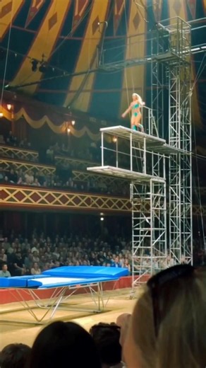 ​Unbelievable Circus Horse Stunt! 😱🔥 | Insane Acrobatics||#viral #shortvideo #stunt #circus