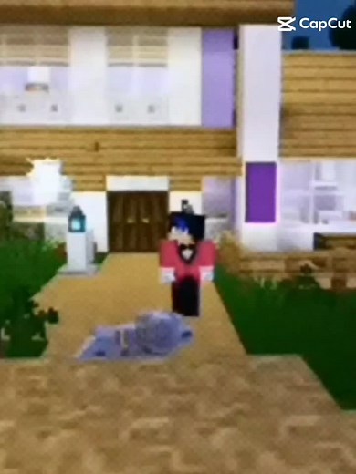 #StopMotion #aphmauedit #aphmau #fypシ゚viral #foryou