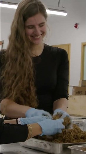 Já ouviu falar em Sugarcrete? É uma alternativa inovadora ao concreto tradicional!