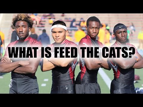 Introduction to Feed the Cats | Sprint Training