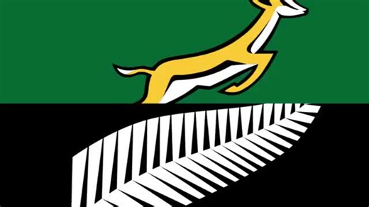 All Blacks vs Springboks Match Highlights and Reactions