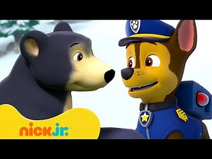 PAW Patrol BEAR Rescues & Adventures! 🐻 10 Minute Compilation | Nick Jr.