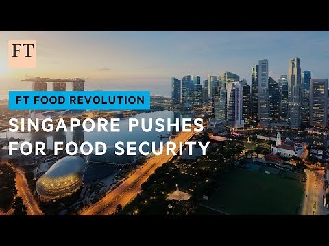 Can high-tech urban farming reduce Singapore's reliance on imports? | FT Food Revolution