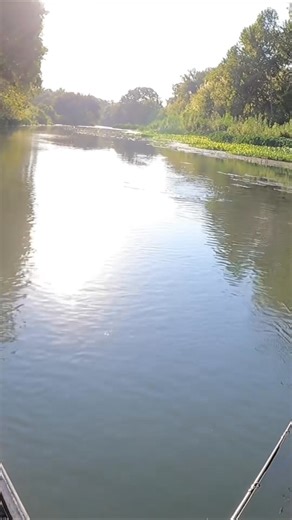 Fishing Frog on Reels