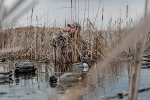 5 Tips for Hunting Late Season Ducks