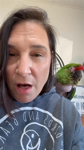 Meet Miss Belle and Tinkerbell — two extraordinary macaws who’ve spent their whole lives together and still act like sisters: bonded, bickering, inseparable in spirit. Miss Belle is a Blue and Gold with a heart of gold to match, and Tinkerbell is a Military macaw with big personality and even bigger opinions — and yes, she’s been a feather plucker for years, but it doesn’t slow her down one bit. Each of these girls has her own video — one of me holding and spending time with Tinkerbell, and anot