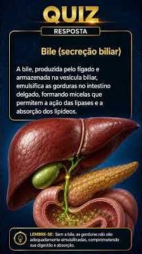 Qual secreção digestiva produzida no fígado esta relacionada a digestão das gorduras?