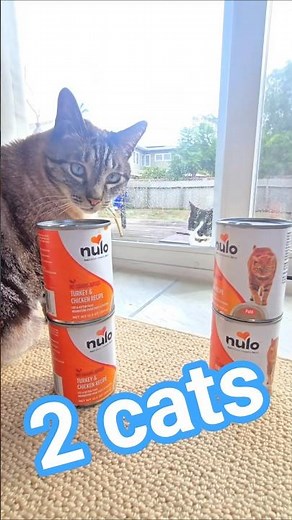 2 cats taste test nulo cat food
