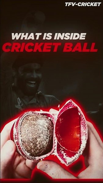 What is inside Cricket Ball 🏏
