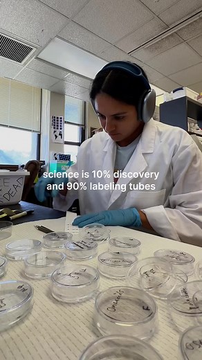 labeling tubes and updating my lab notebook 🧬🔬🥼 Hi all! My name is Alexus and I am a final year PhD student studying Biological Oceanography at the University of Hawaii at Mānoa. I study deep sea zooplankton ecology in an area threatened by deep-sea mining 🦐🪼⛴️ I share PhD life in Hawaii, all things grad school (from applications to balanced productivity tips), and study motivation. Follow along for the journey 🫶🏽 #science #biology #phd