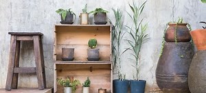 How to Color Wash Walls | DoItYourself.com