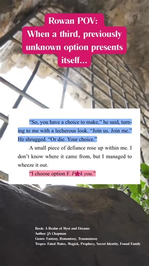 Book: A Realm of Myst and Dreams Author: @authorjachapman Available on Amazon and KU TROPES: 🧚‍♀️ Fated Mates 🧚‍♀️ Magick 🧚‍♀️ Prophecies and Curses 🧚‍♀️ Good vs Evil 🧚‍♀️ Portal Fantasy 🧚‍♀️ Secret Identity 🧚‍♀️ Found Family #darkfantasyromance #romantasy #traumantasy #ARoMaD | Author JA Chapman