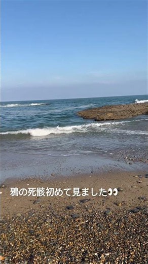 目の前に……😳#beach #海 #ビーチ #スピリチュアル