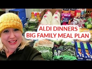 LARGE FAMILY GROCERY SHOPPING HAUL for FEBRUARY | ALDI DEALS + Large Family Meal Plan!