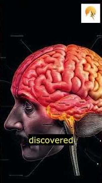 The Strange Case of Einstein's Brain: Secrets of a Genius Revealed!