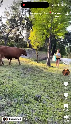 Hilarious Clumsiness Compilation You'll Love