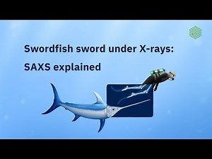 Explainer: how small-angle X-ray scattering (SAXS) is used in life science research