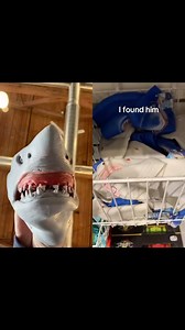 25K views · 353 reactions | YEAH! | The Shark Puppet | Facebook