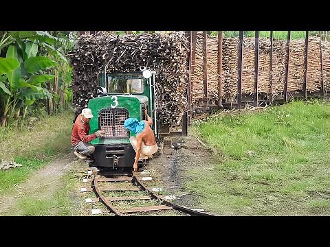 A Day in Life of Rusty Trains Transporting Million of Tons of Sugarcane per Year