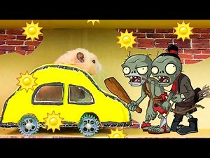 🐹 Hamster escapes the ZOMBIE maze! 🐹 Real life traps