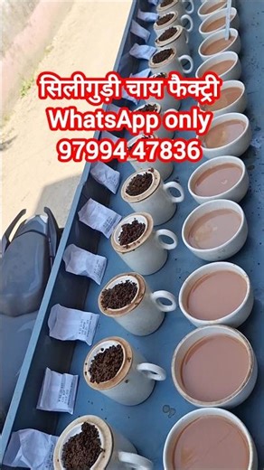 siliguri chai factory, tea factory siliguri #assamtea