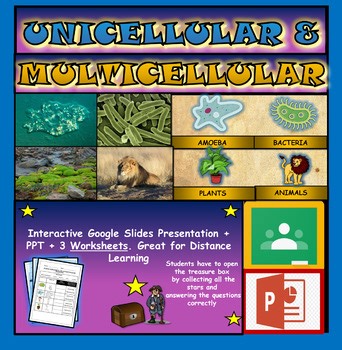 Unicellular vs Multicellular Powerpoint   Worksheets. Amoeba. Middle School