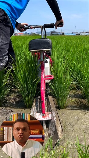 ধান চাষে নতুন ট্রিক!#RiceFarming #FarmingTools #NewAgriTech #FarmingTools #uniquetools #bd