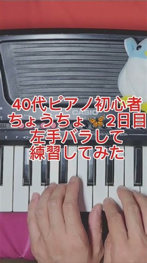 ちょうちょ2日目🦋40代からのピアノ挑戦🎹毎日5分練習中#ピアノ初心者 #ちょうちょ#独学