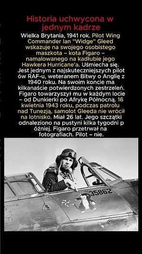 Wielka Brytania 1941 – "Widge" Gleed i jego Figaro #DrugaWojnaŚwiatowa #RAF