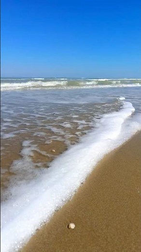 That special moment by the sea... 🐚 The soothing sound of the waves
