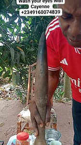 #followersreelsfypシ゚viralシfypシ゚viralシalシ #ralremedies #trendingreel #herbalpractice #atfollowers #herbalremedies #naturalremedies #herbs #trrending #ndomadukenneth Part 14 | Ndomadu Kenneth | Facebook