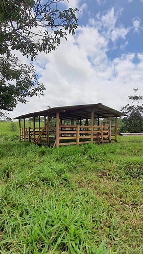 Cómo hacer corrales económicos para ganado en Costa Rica