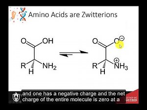 CH450 Chapter 2.1 Amino Acid Structure and Properties