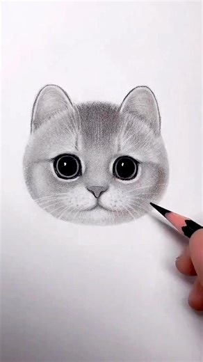 cat face sketch #gadar2 #drawing #shorts