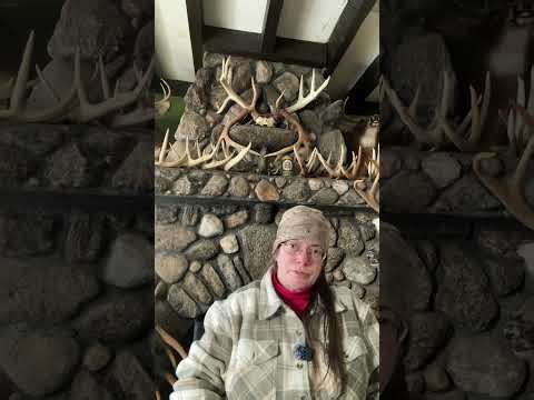 What is a NH leashed tracking dog/blood tracking dog?