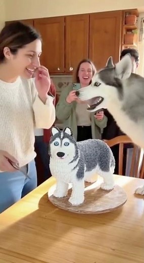 She Cuts a Husky Cake… Then the Real Husky and Cat Lose It! 😂