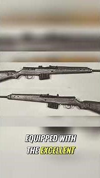 Why the G43 Was the Rifle German Soldiers Actually Wanted #wwii #military #guns