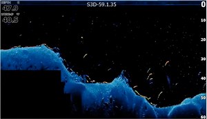 Introducing FishReveal from Lowrance - Bassmaster