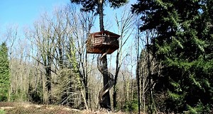The 12 Best Tree Houses You Can Actually Stay In
