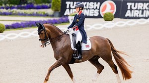 Pferdesport bei Olympia: Neue Tierquälerei-Debatte wegen Trainings-Video