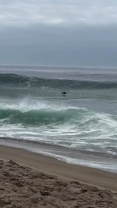 Nothing better than scoring an empty sandbar with just your friends. @julianouzuelli and his hype squad. 🎥 @gui_abuquerque | Surfline