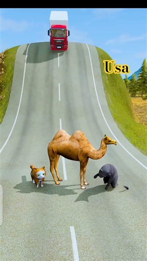 Big Camel & Small Cat's Model BeamNG Drive #beamngrao