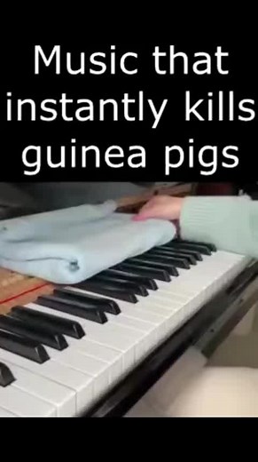 Understanding the Harmful Effects of Music on Animals