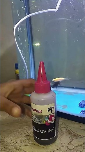 How to fill Canon pixma MG2570S color ink fill