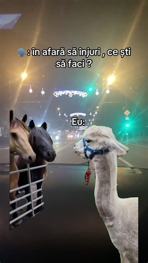 #Meme #MemeCut #fyp #stiucanuajungpefy #stiu_ca_nu_o_sa__ajunga_pe_foryou vă pupix 💋🤣