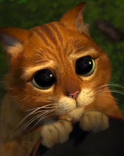 Gato de Botas: Memes e Cenas Engraçadas do Shrek